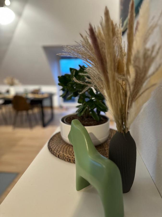 Oasis Appart - Wohnen Am Elbtal - Balkon - Netflix - Tiefgarage Dresden Bagian luar foto