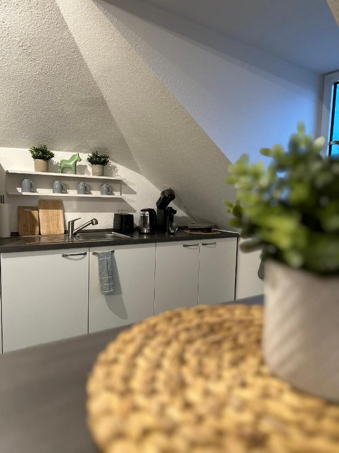 Oasis Appart - Wohnen Am Elbtal - Balkon - Netflix - Tiefgarage Dresden Bagian luar foto