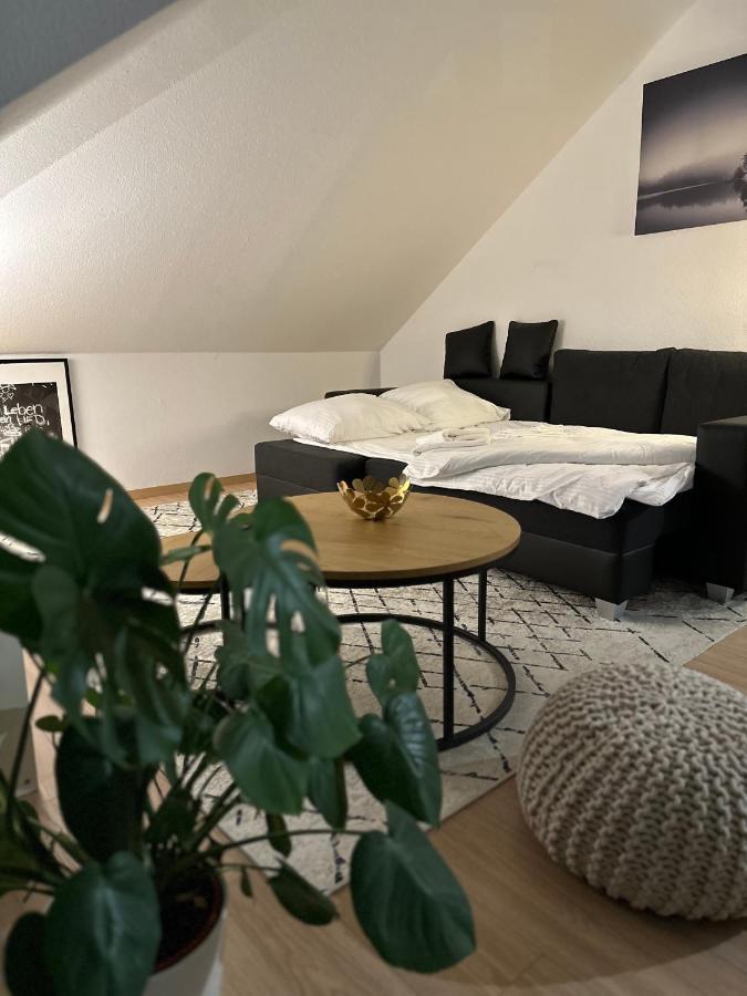 Oasis Appart - Wohnen Am Elbtal - Balkon - Netflix - Tiefgarage Dresden Bagian luar foto